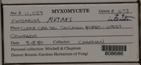 Image Associated With the Occurence